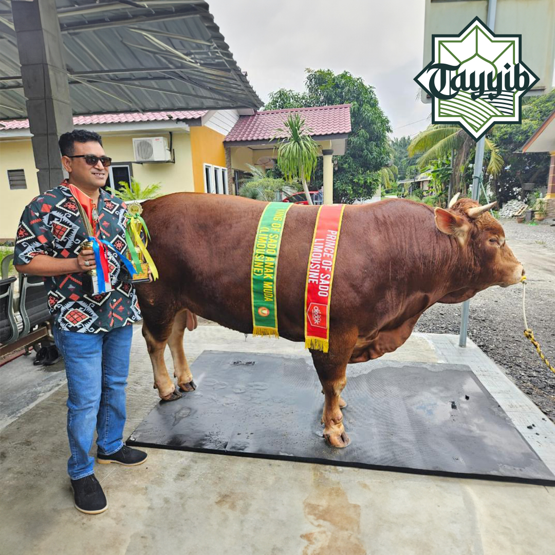 Tayyib%20Ranch